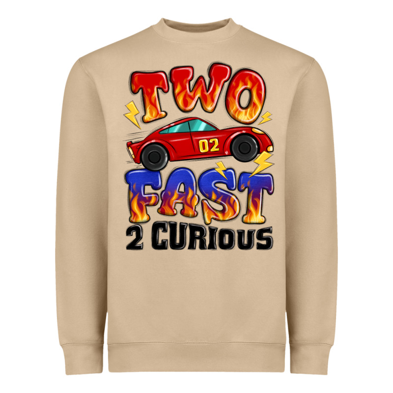Two Fast Two Curious Boys Birthday Racing Car Heavyweight Sweatshirt by MaliasSmallBusiness | Teevron