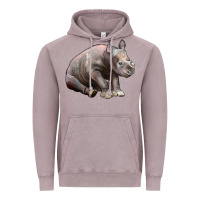 Vintage Zinc Baby Rhino Illustrations Vintage Hoodie - LillyAllenDesigns
