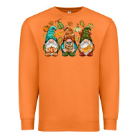 Carrot Fall gnomes Premium Sweatshirt - NancyCooperArtShop