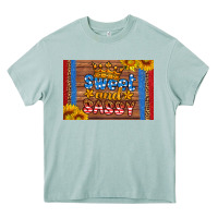 Arona usa sweet and sassy skinny metal can holder Heavy Core Tee - HRA Design Shop
