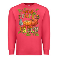 Cardinal Cutest pumpkin in the patch Premium Sweatshirt - NancyCooperArtShop