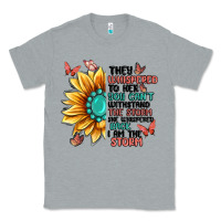Heather Grey they whispered to her you can't withstand the stor Classic Tee - MaliasSmallBusiness