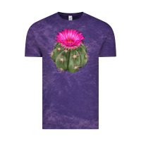 Cloud Purple eagle claws cactus Vintage Tee - LillyAllenDesigns