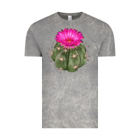 Cloud Rock eagle claws cactus Vintage Tee - LillyAllenDesigns