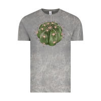 Cloud Rock eagle claws cactus Vintage Tee - LillyAllenDesigns