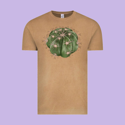Eagle Claws Cactus Vintage Tee Designed By Lillyallendesigns