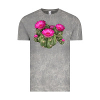 Cloud Rock eagle claws cacti Vintage Tee - LillyAllenDesigns