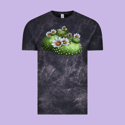 Blossfeldia Cactus Vintage Tee Designed By Lillyallendesigns