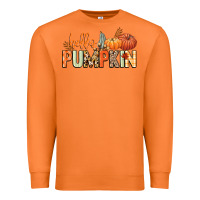 Carrot Hello pumpkin Premium Sweatshirt - NancyCooperArtShop