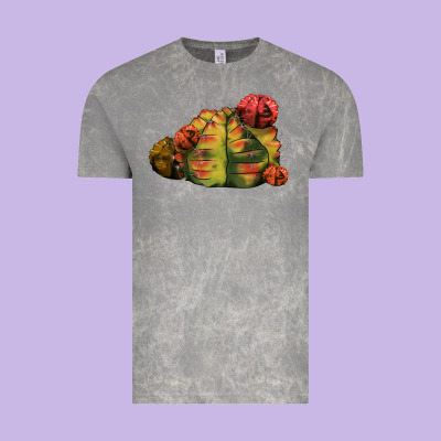 Gymnocalycium Variegated Cactus Vintage Tee Designed By Lillyallendesigns