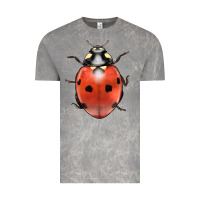 Cloud Rock lady bug Vintage Tee - LillyAllenDesigns