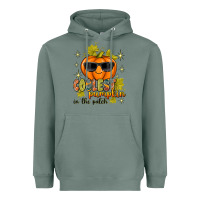 Sage Coolest Pumpkin In The Patch Heavyweight Hoodie - texasbilliewilder