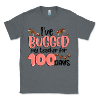 Charcoal Heather i have bugged my teacher for 100 days Classic Tee - MaliasSmallBusiness