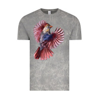 Cloud Rock Flying Northern Cardinal Bird Vintage Tee - LillyAllenDesigns