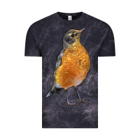 Cloud Black American Robin Bird Vintage Tee - LillyAllenDesigns