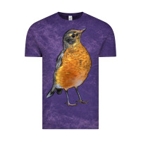 Cloud Purple American Robin Bird Vintage Tee - LillyAllenDesigns