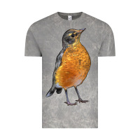 Cloud Rock American Robin Bird Vintage Tee - LillyAllenDesigns