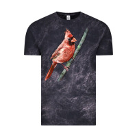 Cloud Black Northern Cardinal Bird Vintage Tee - LillyAllenDesigns