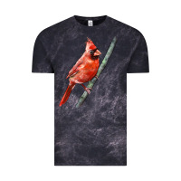 Cloud Black Northern Cardinal Bird Vintage Tee - LillyAllenDesigns
