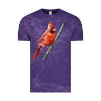 Cloud Purple Northern Cardinal Bird Vintage Tee - LillyAllenDesigns