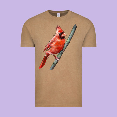 Northern Cardinal Bird Vintage Tee Designed By Lillyallendesigns