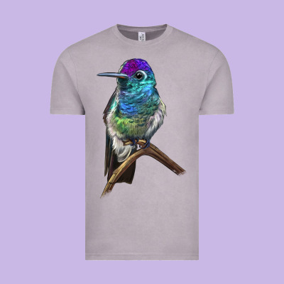 Rivoli`s Hummingbird Vintage Tee Designed By Lillyallendesigns