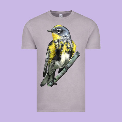 Yellow Rumped Warbler Vintage Tee Designed By Lillyallendesigns