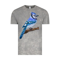Cloud Rock Blue Jay Bird Vintage Tee - LillyAllenDesigns