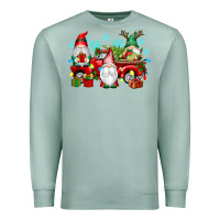 Seafoam christmas gnome truck Premium Sweatshirt - texasbilliewilder