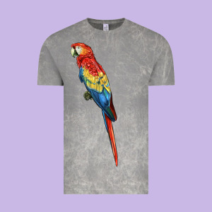 Scarlet Macaw Parrot Vintage Tee Designed By Lillyallendesigns