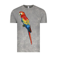 Cloud Rock Scarlet Macaw Parrot Vintage Tee - LillyAllenDesigns