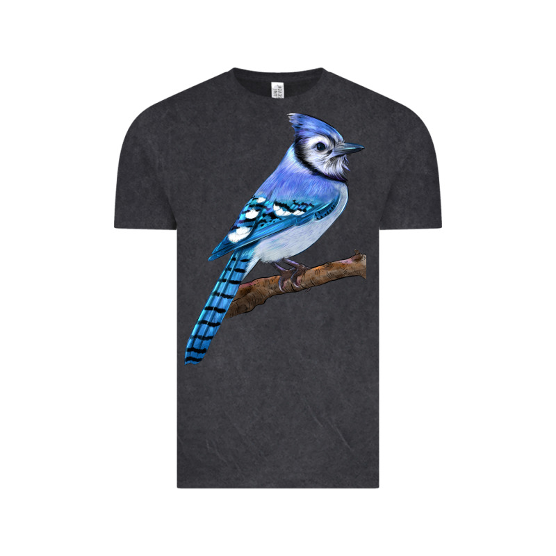 Blue Jay Bird Vintage Tee by LillyAllenDesigns | Teevron