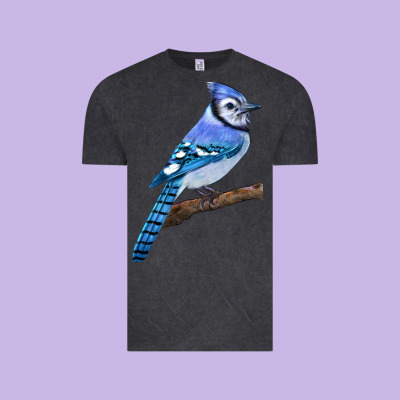 Blue Jay Bird Vintage Tee Designed By Lillyallendesigns