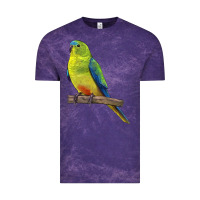 Cloud Purple Neophema Parrot Vintage Tee - LillyAllenDesigns