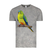 Cloud Rock Neophema Parrot Vintage Tee - LillyAllenDesigns