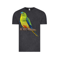 Vintage Black Neophema Parrot Vintage Tee - LillyAllenDesigns
