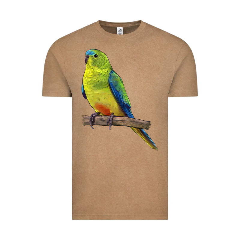 Neophema Parrot Vintage Tee by LillyAllenDesigns | Teevron
