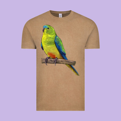 Neophema Parrot Vintage Tee Designed By Lillyallendesigns