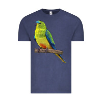 Vintage Denim Neophema Parrot Vintage Tee - LillyAllenDesigns