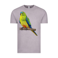 Vintage Zinc Neophema Parrot Vintage Tee - LillyAllenDesigns