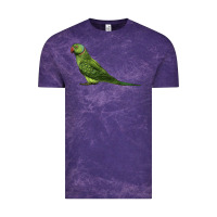 Cloud Purple Ring Necked Parakeet Vintage Tee - LillyAllenDesigns