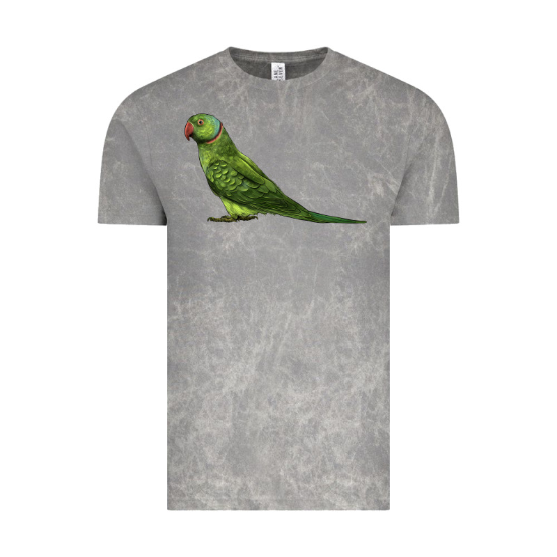 Ring Necked Parakeet Vintage Tee by LillyAllenDesigns | Teevron