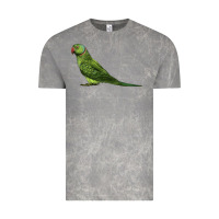 Cloud Rock Ring Necked Parakeet Vintage Tee - LillyAllenDesigns