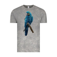 Cloud Rock Hyacinth Macaw Vintage Tee - LillyAllenDesigns