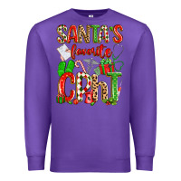 Purple santa's favorite cpht Premium Sweatshirt - texasbilliewilder
