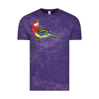 Cloud Purple Rosella Bird Vintage Tee - LillyAllenDesigns