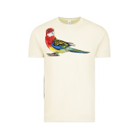Vintage Arctic Rosella Bird Vintage Tee - LillyAllenDesigns