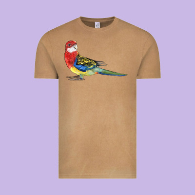 Rosella Bird Vintage Tee Designed By Lillyallendesigns
