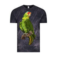 Cloud Black New Zealand Paraket Parrot Vintage Tee - LillyAllenDesigns