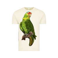 Vintage Arctic New Zealand Paraket Parrot Vintage Tee - LillyAllenDesigns